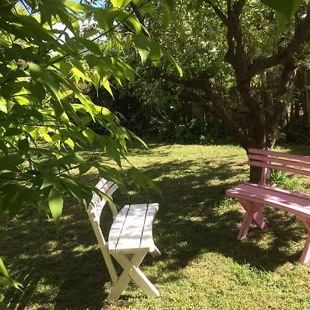 Kookaburra Cottage Castlemaine Exterior foto